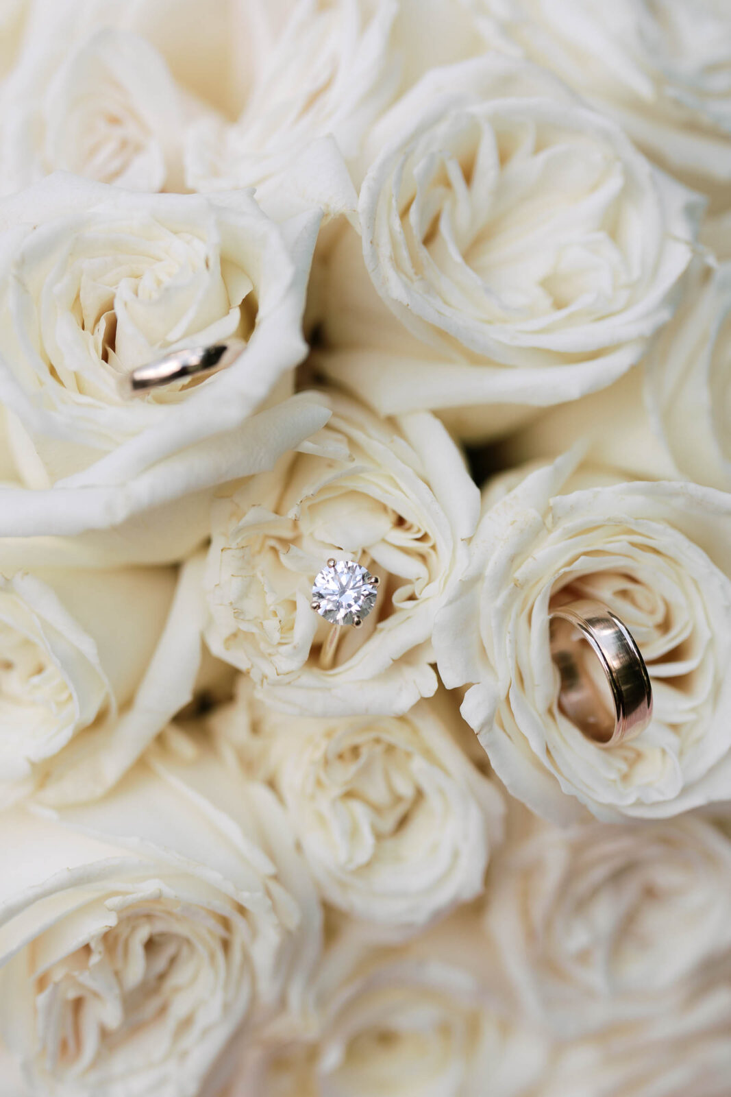 Wedding rings in flowers - Grand View Mendon MA Wedding